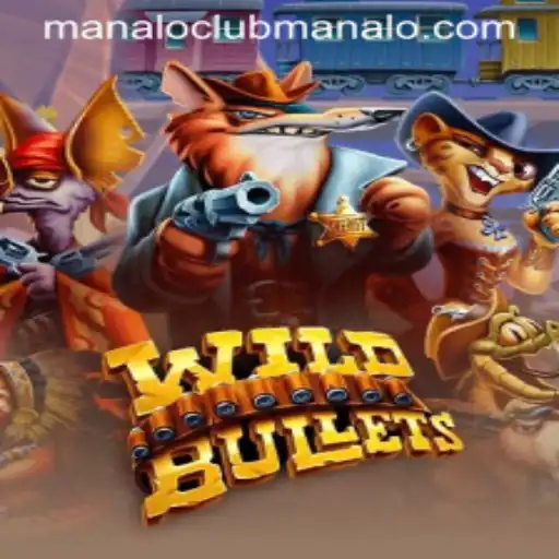 WildBullets the Ultimate Gaming Experience